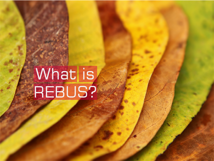 What is REBUS?
